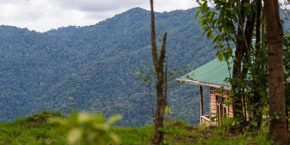 Bwindi Orugano Lodge